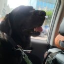 미자민박 이미지