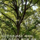 (주)금호자동차서비스 이미지