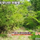 시유림 이미지