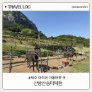 [제주 아이와 가볼만한 곳] 가성비 최고! 산방산 풍경 속 힐링 '산방산승마체험장' 솔직 후기