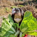 배다른남매 이미지