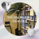 폼하우스 안경 | [이용후기] 썬바디태닝 검단점 화이트태닝 50회 이용후기 (위치, 가격, 주차, 이용꿀팁, 전후비교)