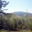 유천버스정류장 이미지