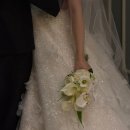 후 | 부산 그랜드모먼트 웨딩홀 베일홀 리뉴얼 후 본식 후기