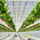 화순농장 이미지