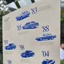 서울오토미션 | 친한지인분과 함께간 그곳! 서울 카페피크닉 방문후기(Feat.오토샐러드)