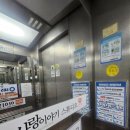 위너스빌딩 | 프로필 사진 촬영 후기｜사랑 이야기 스튜디오 창원점