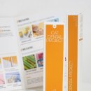 원덴탈 | 고양이 구내염 증상 완화 고양이치약 캣디피 원미닛치약과 덴탈칫솔 사용 후기