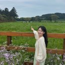 지나주 | 서울대 환경관리학과 제주 답사 후기 그리고 이모저모 (9주차)