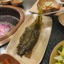 속초고기 이미지