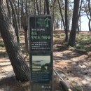 장고경로당 | 서해랑길 신안 27코스- 태평염전에서 우전해수욕장 경유 증도면사무소까지