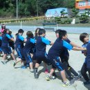 월곡초삼계분교 이미지