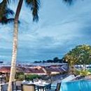 태평양 금호 이미지