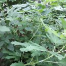 유니콘농장 이미지