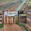 용기목장 이미지