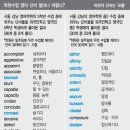 모음집 티스토리