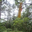 저두 출렁다리입구 이미지