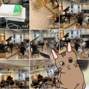 광주예술중학교 | 광주성악학원 강숙자오페라라인 놀부야 어린이출연자 합창과 솔로 연습