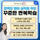 이보영의토킹클럽호평어학원