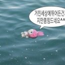 커렉트(correct) 이미지