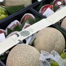 형제청과 이미지