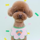 몽크의 아뜰리에 이미지