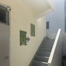 셉트 | 광안리 애견동반 맛집, 애견동반 카페인 콩셉트 후기