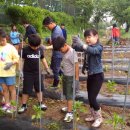 사창농장 이미지