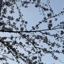 부산맘아동병원 | [부산 영유아 검진] 부산 맘 아동 병원