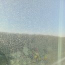 산내마을7단지 운정화성파크드림 | 파주 유리창 청소 (운정 산내마을 7단지 아파트)