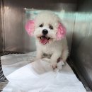 CU(상서동) 이미지