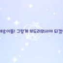 굽굽쿠키