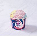 베스킨라빈스 파인트 아이스크림 (판매완료) 이미지