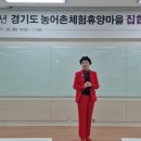 원더플컨설팅