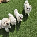 아이위드유치원 이미지