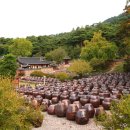 명재2농장 이미지