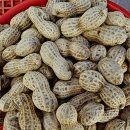 상촌 다목적광장 이미지