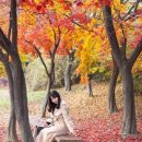 어느가을 오후 이미지