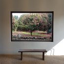 동백에어 B&B 이미지