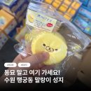 행궁동 말랑이 성지, 대왕문구 동광과학교재사 왁뿌볼 슬랑이 리락쿠마 가격