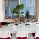 곰가네분식 이미지