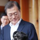 해토리