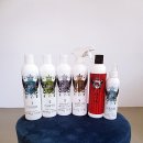 펫디자이너 시나 이미지