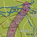승기마켓