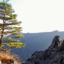 청산 Daum카페