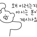 울릉도오션뷰펜션 이미지