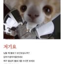 혜원어린이집 | 매콤달콤한 홍맛나