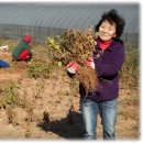 김순자농장 이미지