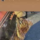 안리오뎅 이미지