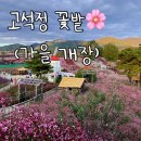 천막꼬리 | 철원 여행: 드라이브 겸 고석정 꽃밭(가을 개장) 다녀온 후기